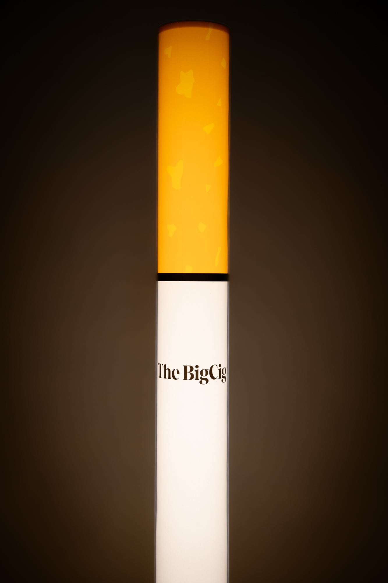 The BigCig